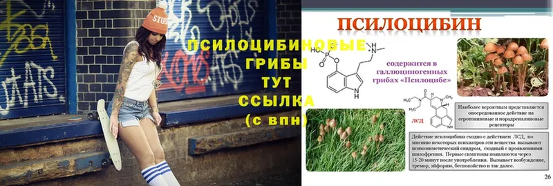 Галлюциногенные грибы MAGIC MUSHROOMS  Барыш 